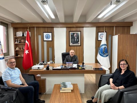 Ziyaret